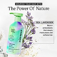 Eva Nyc Lazy Jane Air Dry Shampoo Natural Texture And Frizz Control For Hair Vegan And Gmofree Antifrizz For Women 88 Fl