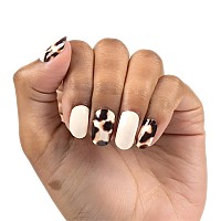 Color Street Nail Polish Strips Show And Shell