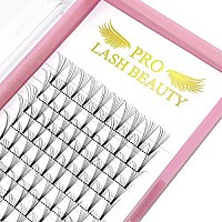 Premade Fans Eyelash Extensions 6D-D-0.10-9 Short Stem Premade Volume Eyelash Extensions 4D 6D 8D Volume Lash Extensions .07 .10 Pre made Lash Fans C D Curl 9 to 20 mm (6D-D-0.10, 9 mm)