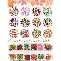 Kalolary 2 Boxes Maple Leaves Nail Art Sequins 3D Fall Leaves Stickers For Acrylic Nails Maple Leaves Wood Pulp Glitter Flakes