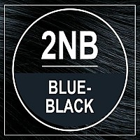 Naturtint Permanent Hair Color 2Nb Blue Black Pack Of 1 Ammonia Free Vegan Cruelty Free Up To 100 Gray Coverage Long Las