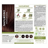 Naturtint Permanent Hair Color 4Nc Deep Capaccino Brown Pack Of 1 Ammonia Free Vegan Cruelty Free Up To 100 Gray Coverage