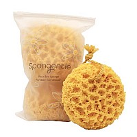 Spongentle Deep cleansing Body Loofah Sponge, Natural colors, for Bath and Shower, Multiple Textures for gentle and Deep Exfoliation, generous and Rich Lather, (Pack of 3)