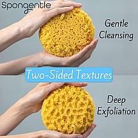 Spongentle Deep cleansing Body Loofah Sponge, Natural colors, for Bath and Shower, Multiple Textures for gentle and Deep Exfoliation, generous and Rich Lather, (Pack of 3)