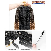 10 Inches 9 Packs Passion Twist Crochet Hairmixed Color Combo Pack7 Packs 1B2 Packs T1B27Pretwisted Pre Looped Super Soft