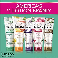 Jergens Sandalwood Body Butter Lotion Moisturizer Infused With Sandalwood Essential Oil For All Skin Types 7 Fluid Oz