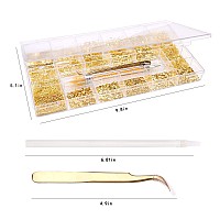 Nibiru Gold Metal Nail Art Studs Kit 4000Pcs 3D Metal Nail Art Jewelry Decoration Star Moon Feather Shell Multi Shapes Nail De