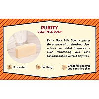 Goat Milk Stuff Goat Milk Soap Purity Allnatural Unscented Fresh Goat Milk Soap Bar Gentle On Sensitive Skin Handmade