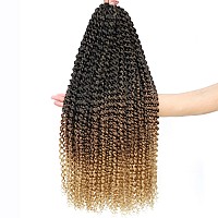 Ombre Passion Twist Hair 24 Inch 8 Packs Passion Twist Crochet Hair For Women Water Wave Braiding Hair Long Spring Twist Hair Sy