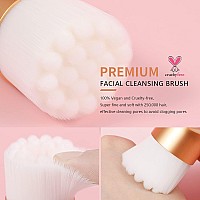 Ducare Manual Facial Cleansing Brush 2In1 Skin Care Face Brush Dual End Facial Manual Dual Face Wash Brush For Deep Pore Exfo