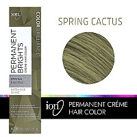 Ion Permanent Brights Creme Hair Color Pastel Spring Cactus Spring Cactus