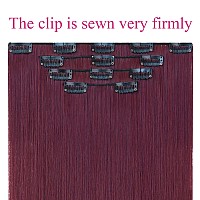 Burgundy Hair Extension,Clip Hair Extensions 22