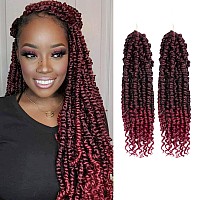 Passion Twist Hair 2 Packs 12 Inch Passion Twist Crochet Hair For Women Crochet Pretwisted Curly Hair Passion Twists Syntheti