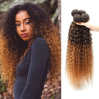 Curly Bundles Human Hair 2 Tone Ombre Brazilian 4 Bundles Virgin Human Hair Weave Bundles 100 Unprocessed Kinky Curly Human Hai