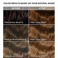 Madison Reed Radiant Hair Color Kit Light Golden Brown For 100 Coverage Of Gray Hair Ammoniafree 7Ngv Lucca Light Brown Pe