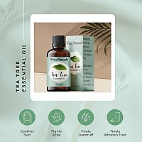 Tea Tree Essential Oil For Clear Skin 1Oz 30Ml Pure And Natural Therapeutic Grade Organic Tea Tree Oil Steam Distilled P