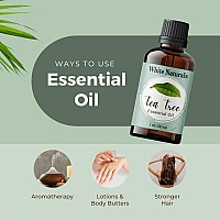 Tea Tree Essential Oil For Clear Skin 1Oz 30Ml Pure And Natural Therapeutic Grade Organic Tea Tree Oil Steam Distilled P