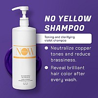 NOW BEAUTY No Yellow Violet Shampoo - 32 Oz - Vegan, Color Safe