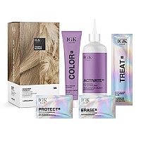 Igk Permanent Color Kit Pampas Blonde Light Natural Blonde 9N Easy Application Strengthen Shine Vegan Cruelty Free