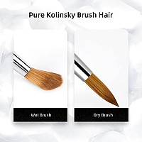 Aokitec 100 Kolinsky Acrylic Nail Brush 12 Oval Crimped Sable Acrylic Brush Wood Nail Art Brush For Acrylic Application Manicu