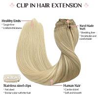 Human Hair Clip In Extensions 22 Inch 7Pcs 120G Maxita Ash Blonde To Golden Blonde And Platinum Blonde Hair Extensions Real Hu