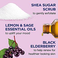 Dr Teals Shea Sugar Body Scrub Black Elderberry With Essential Oils 19 Oz Pack Of 3 Packaging May Vary