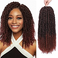 Nice One Passion Twist Hair 8 Packs 14 Inch Pretwisted Passion Twist Crochet Hair For Women Prelooped Passion Twists Braidin