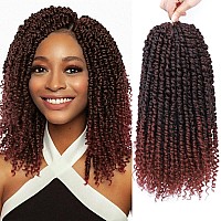 Nice One Passion Twist Hair 8 Packs 12 Inch Pretwisted Passion Twist Crochet Hair For Women Prelooped Passion Twists Braidin