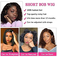 Amznlady Curly Pixie Cut Wig Human Hair Wigs V Part Human Hair Wig No Leave Out Brazilian Human Hair Wig For Black Women Curly B