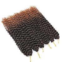 Short Passion Twist Hair 12 Inch 8 Packs Water Wave Crochet Hair Braiding Hair Bohemian Spring Twist Hair Crochet Braids Synthet