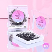 ROSE GIRL Loose Promade Fans - Natural Look Handmade Volume Eyelashes From 3D To 16D - C CC D DD Curl - False Lashes Extensions - Thickness 0.03~0.1 mm - 8~20 mm Length (12D-0.03-C (15mm))