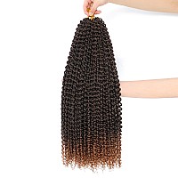 Dansama 6 Packs Passion Twist Hair Water Wave Braiding Hair For Butterfly Style Crochet Braids Bohemian Hair Extensions 24Inch