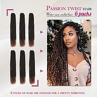 Dansama 6 Packs Passion Twist Hair Water Wave Braiding Hair For Butterfly Style Crochet Braids Bohemian Hair Extensions 24Inch