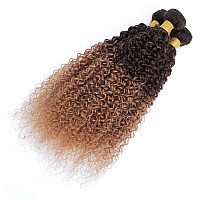 2 Tone Ombre Body Wave Hair 4 Bundles With 4X4 Lace Closure 100 Unprocessed Brazilian Remy Virgin Hair Body Wave Human Hair Bun