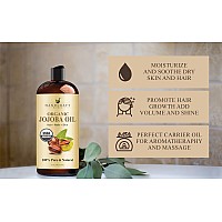 Handcraft Blends Usda Organic Jojoba Oil 16 Fl Oz 100 Pure And Natural Premium Grade Oil For Face Body And Hair Antia