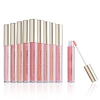 Beauty Concepts Lip Gloss Collection 10 Piece Lip Gloss Set In Pink Colors Comes In Box