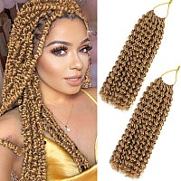 Passion Twist Crochet Hair For Black Women 12 Inch Passion Twist Hair For Butterfly Locs 2 Pack Water Wave Crochet Hair Curly Cr