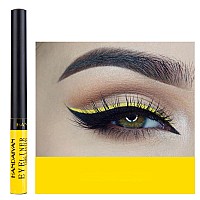 DekRion Liquid Eyeliner, Matte Colored Eyeliners, Yellow Eyeliner, White Black Red Brown Green Purple Waterproof High-pigmented Colorful Eyeliners Eye Makeup, 1PC Yellow