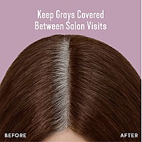 Madison Reed Root Perfection Permanent Root Touch Up Medium Golden Brown 6G Dervio 10 Minutes For 100 Gray Root Coverage Amm