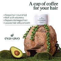 Eva + Avo Deep Conditioning Hair Mask - Hydrating Hair Mask with Avocado -Nourishing Hair Mask for Dry Damaged Hair - Paraben and Sulfate-Free - 8 Fl Oz