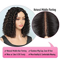 Fine Plus Highlight 1B30 Curly Wigs For Black Women 150 Density Short Curly Wigs For Women Glueless Wigs With Middle Part Lace