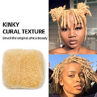 Familocs Tight Afro Kinky Bulk 100 Human Hair For Draedlock Extensions Repair Locs Twists And Braids 16 Inch 613 Light Bl