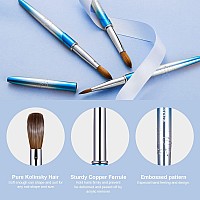 Acrylic Nail Brush Size 10Kemeisi 100 Pure Kolinsky Nail Art Brushes Sturdy Handle Oval Shaped Acrylic Powder Nail Design Tool