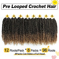 Passion Twist Hair 10 Inch 8 Packs Pre Twisted Passion Twist Crochet Hair For Black Women Pre Looped Passion Twist Curly Croch