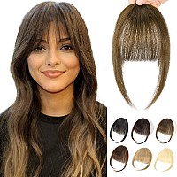 REECHO Clip in Bangs,100% Human Hair Clip in Hair Extensions, Fake Bangs Fringe with Temples Hairpieces for Women Daily Wear (Air Bangs, Golden Ash Brown)