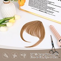 REECHO Clip in Bangs,100% Human Hair Clip in Hair Extensions, Fake Bangs Fringe with Temples Hairpieces for Women Daily Wear (Air Bangs, Golden Ash Brown)