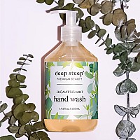 Deep Steep Liquid Hand Wash 176 Ounces Eucalyptus Mint