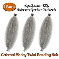 Pre-Fluffed Spring Twist Hair Gray Marley Twist Braiding Hair 16 Inch Springy Afro Twist Hair for Faux Locs Passion Twist Hair Distressed Butterfly Locs 3 Packs Grey Crochet Hair for Black Women (16 inch (Pack of 3), Gray)