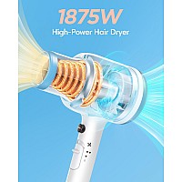 Wavytalk Hair Dryer With Diffuser And Concentrator Professional 1875 Watt Negative Ions Dryer Fast Drying Light And Quiet With C