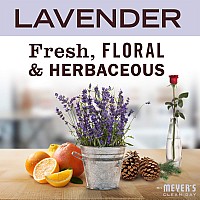 Mrs Meyers Clean Day Body Lotion For Dry Skin Nongreasy Moisturizer Made With Essential Oils Lavender 16 Fl Oz Pack Of